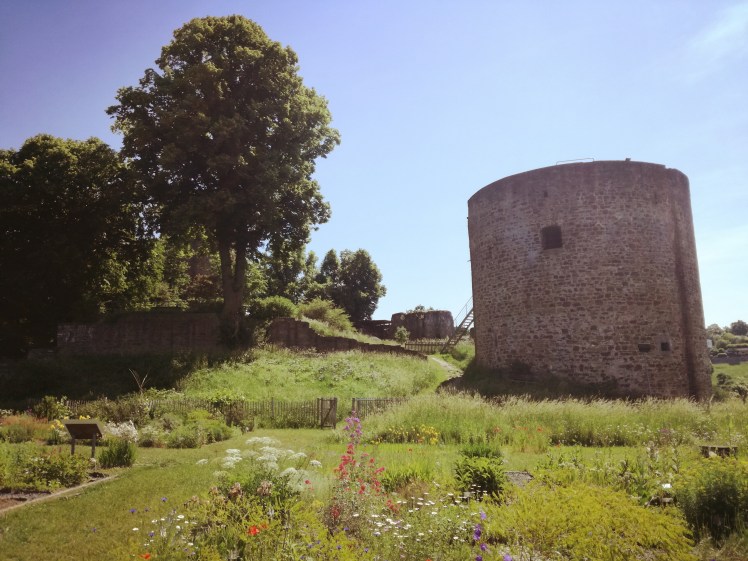 Burg Blankenberg 1