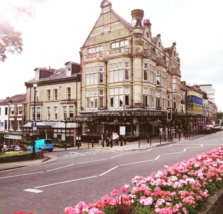 Harrogate 4